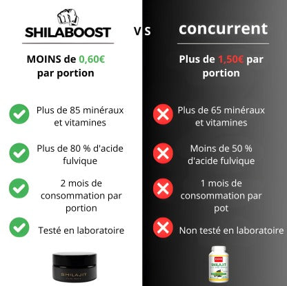 Shilaboost™️ | Boost your energy!